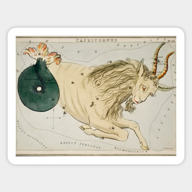 Capricorn Constellation Sticker by Big Term Designs